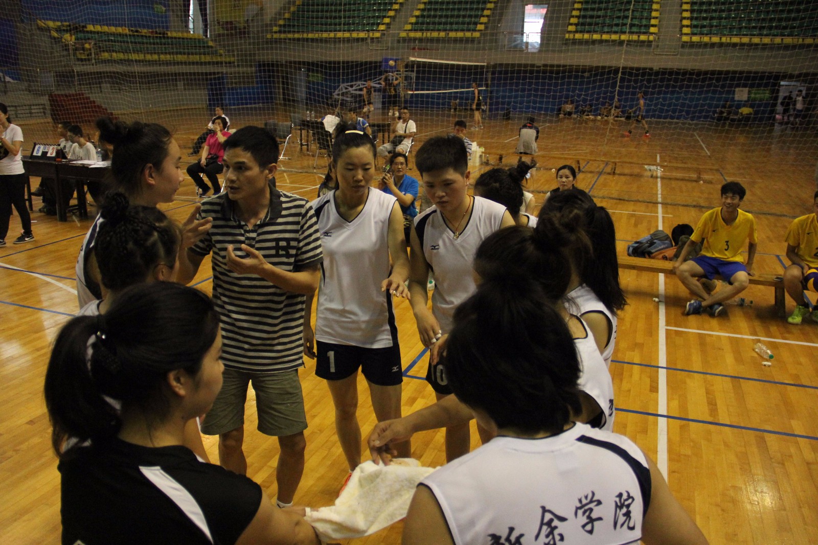 2015女子排球比赛.jpg