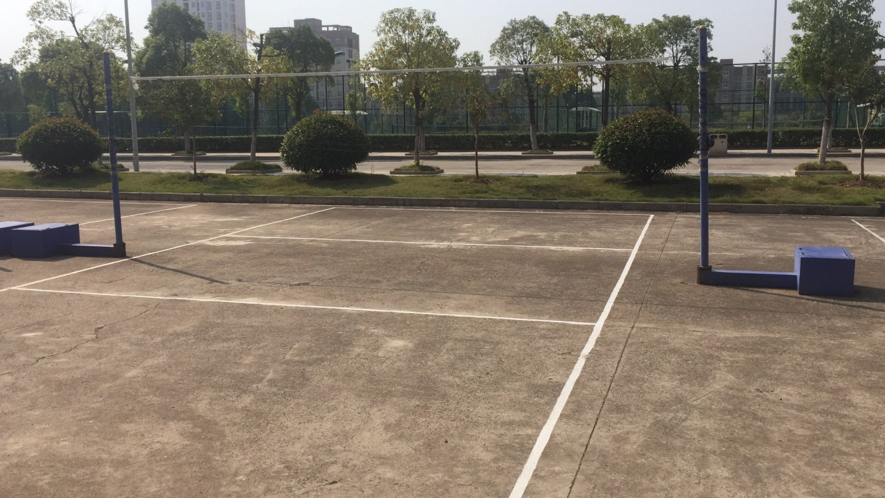 室外排球场1.png