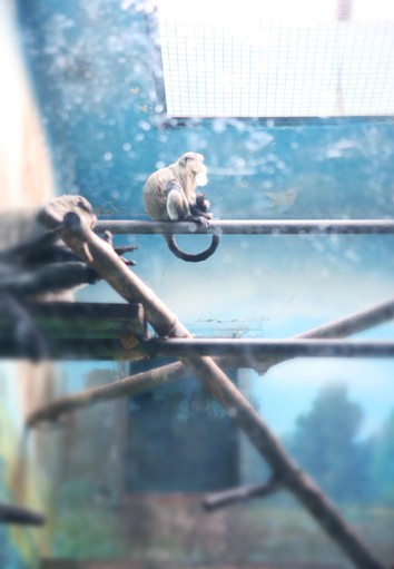 F:\旧版网站\www\uploadfile\2013\0619\20130619034950298 F:\旧版网站\www\uploadfile\2013\0619\20130619034950298