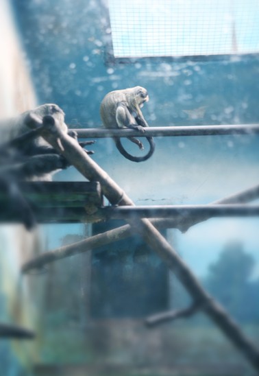 F:\旧版网站\www\uploadfile\2013\0619\20130619034953889 F:\旧版网站\www\uploadfile\2013\0619\20130619034953889