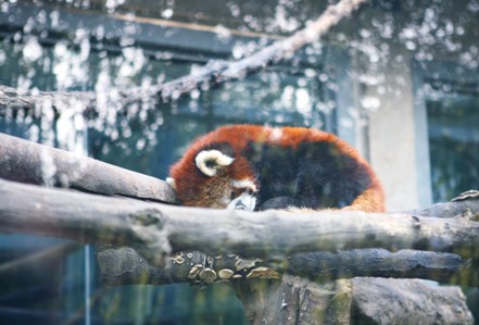 F:\旧版网站\www\uploadfile\2013\0619\20130619035151854