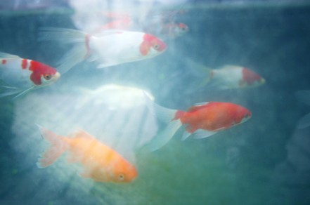 F:\旧版网站\www\uploadfile\2013\0619\20130619035310675 F:\旧版网站\www\uploadfile\2013\0619\20130619035310675