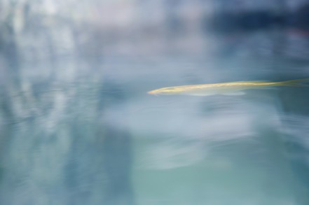 F:\旧版网站\www\uploadfile\2013\0619\20130619035315344 F:\旧版网站\www\uploadfile\2013\0619\20130619035315344