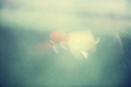 F:\旧版网站\www\uploadfile\2013\0619\20130619035321320 F:\旧版网站\www\uploadfile\2013\0619\20130619035321320