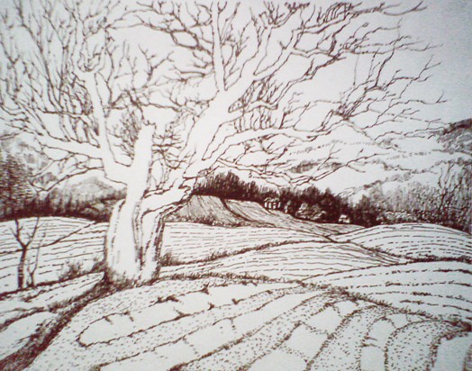 F:\旧版网站\www\uploadfile\2013\0619\20130619033054777