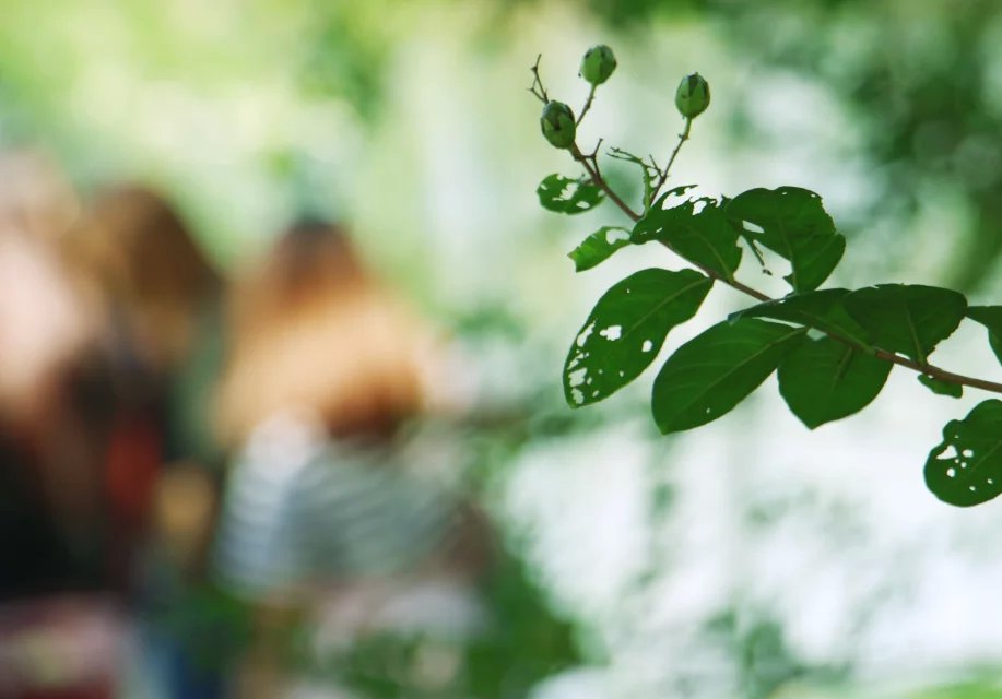 风景摄影学生作品2 风景摄影学生作品2