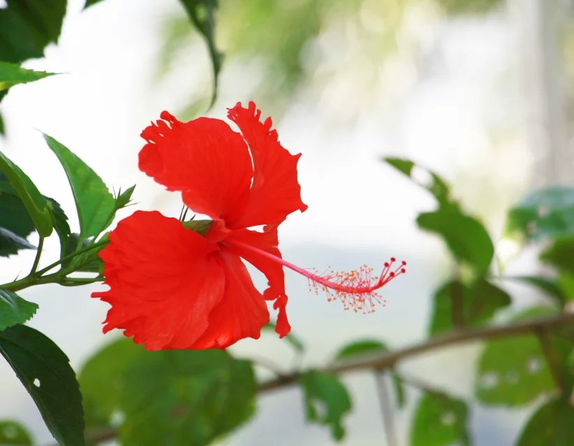 风景摄影学生作品3 风景摄影学生作品3