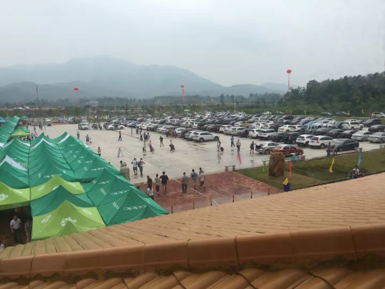 图片6