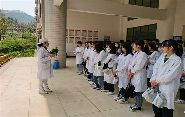 图片13.png 图片13.png