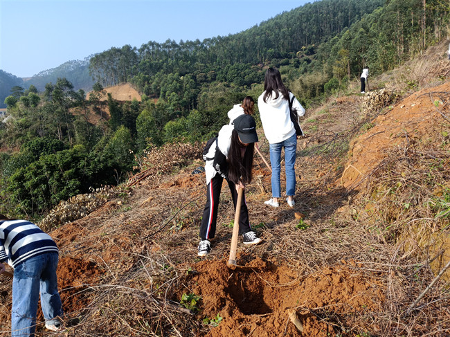 微信图片_20190313110703.jpg 微信图片_20190313110703.jpg