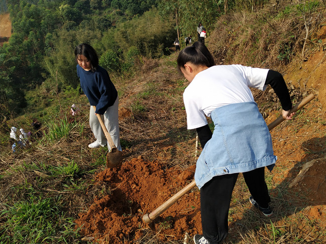 微信图片_20190313110706.jpg 微信图片_20190313110706.jpg