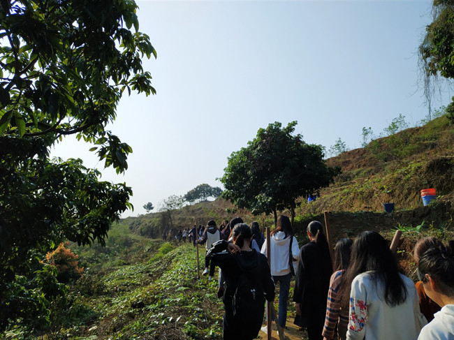 微信图片_20190313110713.jpg 微信图片_20190313110713.jpg