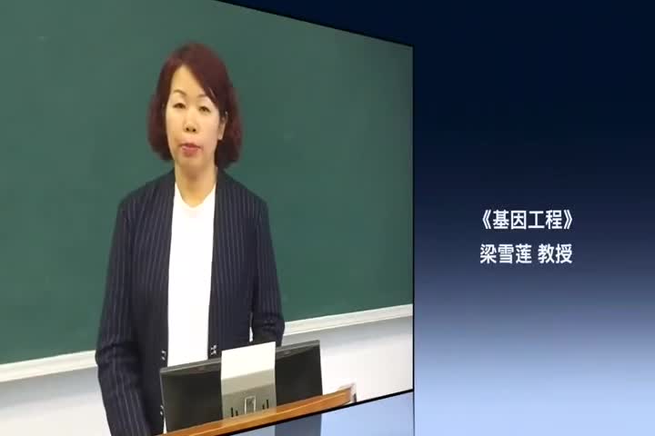 3.3 核酸酶